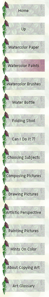 Outdoor Watercolors - Paints