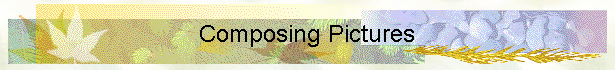 Composing A Picture
